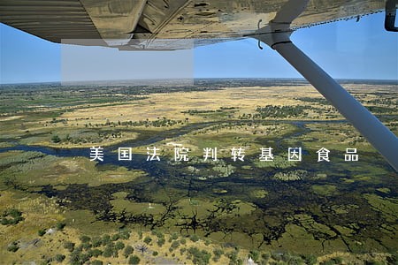 美国法院判转基因食品