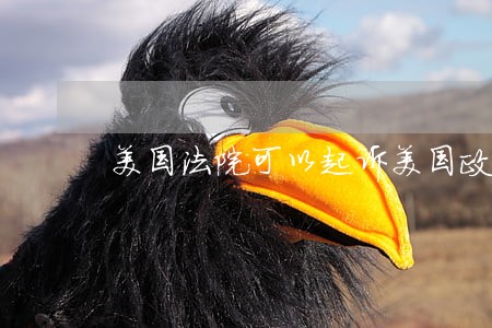 美国法院可以起诉美国政府吗 美国法院可以起诉美国政府吗