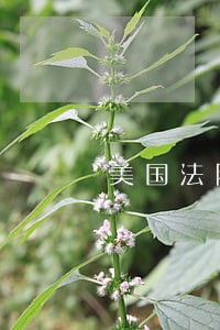 美国法院证明崔永元转基因食品 美国法院证明崔永元转基因食品