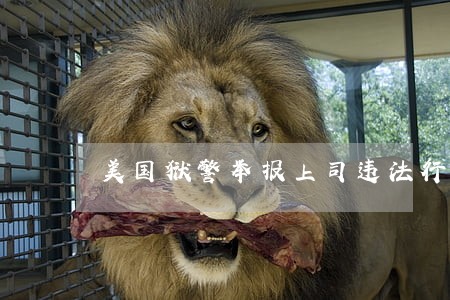 美国狱警举报上司违法行为遭解雇 美国狱警举报上司违法行为遭解雇