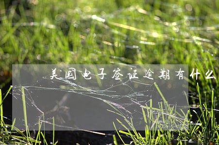 美国电子签证逾期有什么后果 美国电子签证逾期有什么后果