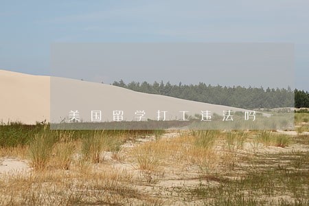 美国留学打工违法吗 美国留学打工违法吗