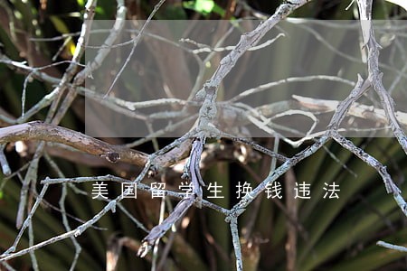 美国留学生换钱违法 美国留学生换钱违法