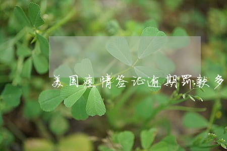 美国疫情签证逾期罚款多少