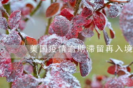美国疫情逾期滞留再入境