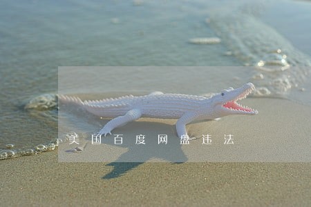 美国百度网盘违法 美国百度网盘违法