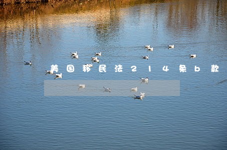 美国移民法214条b款 美国移民法214条b款