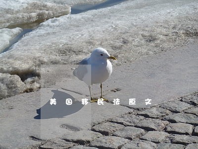 美国移民法原文 美国移民法原文