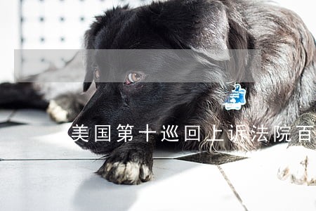 美国第十巡回上诉法院百科