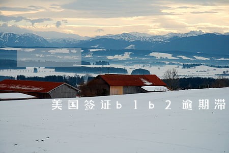 美国签证b1b2逾期滞留 美国签证b1b2逾期滞留