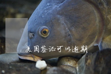 美国签证可以逾期 美国签证可以逾期