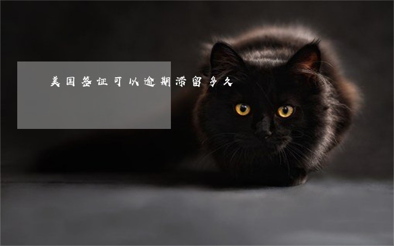 美国签证可以逾期滞留多久 美国签证可以逾期滞留多久