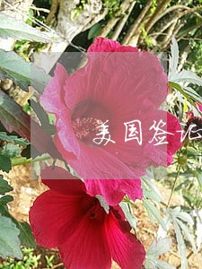 美国签证延期申请期间算逾期吗 美国签证延期申请期间算逾期吗