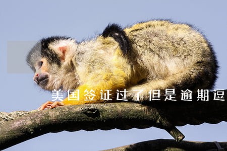 美国签证过了但是逾期逗留 美国签证过了但是逾期逗留