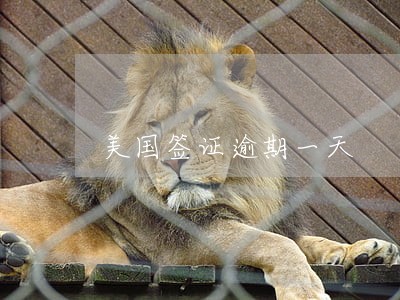 美国签证逾期一天 美国签证逾期一天