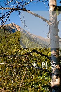 美国签证逾期不领怎么办 美国签证逾期不领怎么办