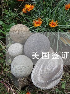 美国签证逾期停留会怎样