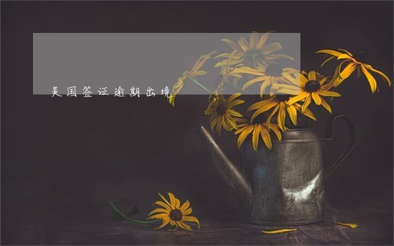 美国签证逾期出境