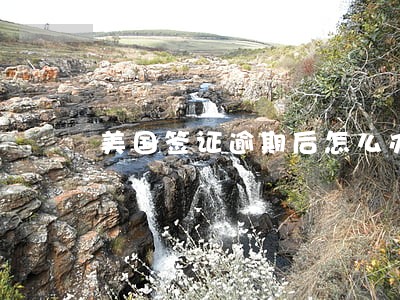 美国签证逾期后怎么办