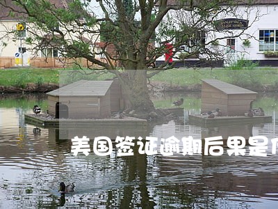 美国签证逾期后果是什么 美国签证逾期后果是什么