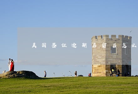 美国签证逾期居留后怎么办