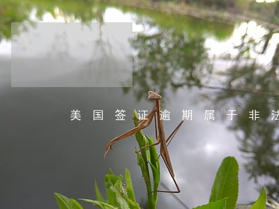 美国签证逾期属于非法居留吗