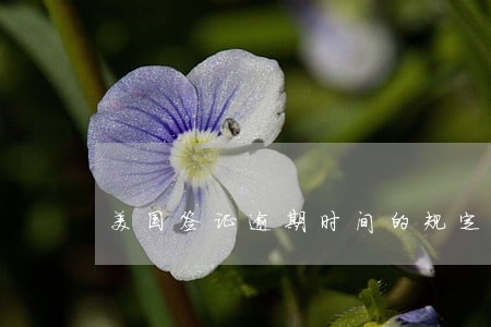 美国签证逾期时间的规定 美国签证逾期时间的规定