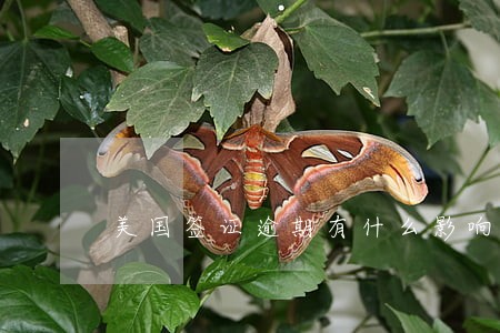 美国签证逾期有什么影响 美国签证逾期有什么影响