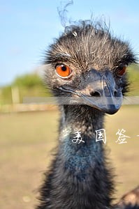 美国签证逾期能否在韩国转机 美国签证逾期能否在韩国转机