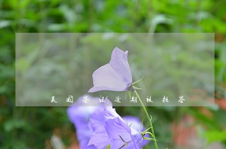 美国签证逾期被拒签 美国签证逾期被拒签
