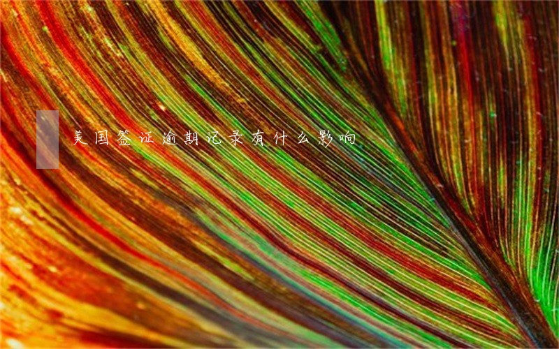 美国签证逾期记录有什么影响 美国签证逾期记录有什么影响