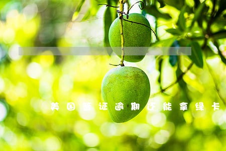 美国签证逾期还能拿绿卡吗 美国签证逾期还能拿绿卡吗
