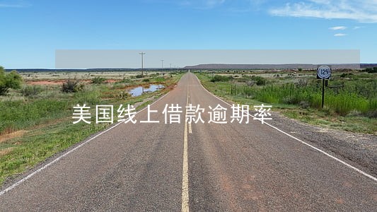 美国线上借款逾期率 美国线上借款逾期率