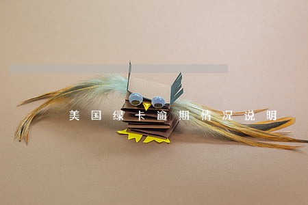 美国绿卡逾期情况说明 美国绿卡逾期情况说明