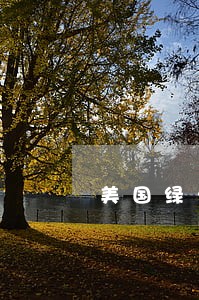 美国绿卡逾期老奶奶上海登记被拒 美国绿卡逾期老奶奶上海登记被拒