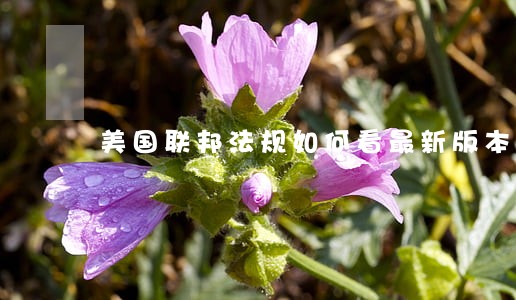 美国联邦法规如何看最新版本 美国联邦法规如何看最新版本