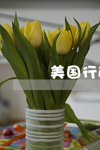 美国行政诉讼占比 美国行政诉讼占比