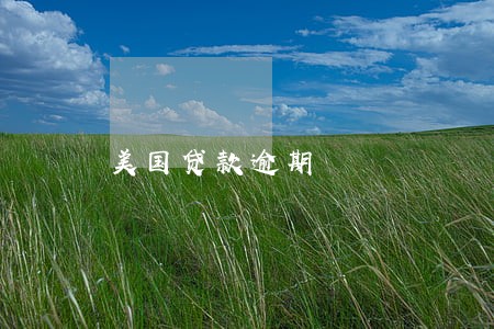 美国贷款逾期 美国贷款逾期