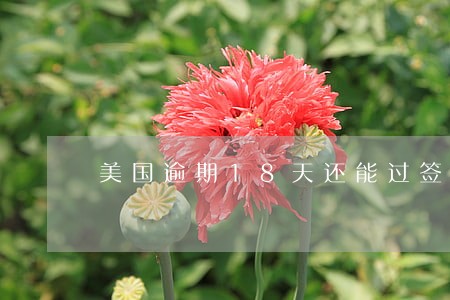 美国逾期18天还能过签证吗 美国逾期18天还能过签证吗