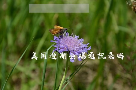 美国逾期会爆通讯录吗 美国逾期会爆通讯录吗