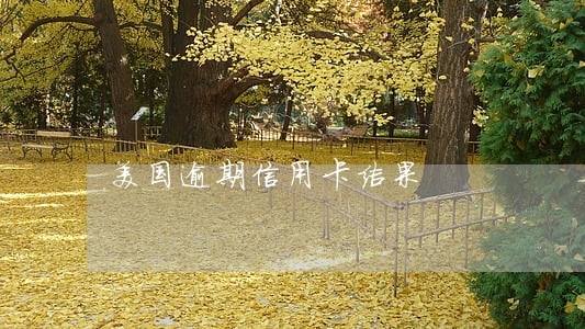 美国逾期信用卡结果 美国逾期信用卡结果