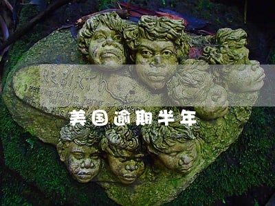 美国逾期半年 美国逾期半年