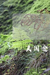美国逾期后出境时会罚款吗 美国逾期后出境时会罚款吗