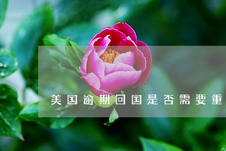美国逾期回国是否需要重新签证 美国逾期回国是否需要重新签证