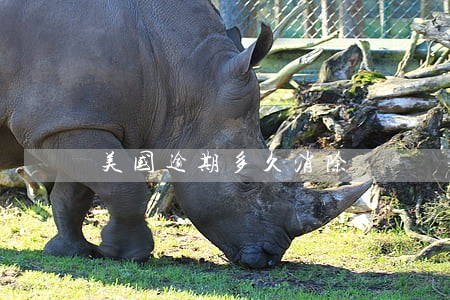 美国逾期多久消除 美国逾期多久消除