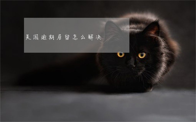 美国逾期居留怎么解决