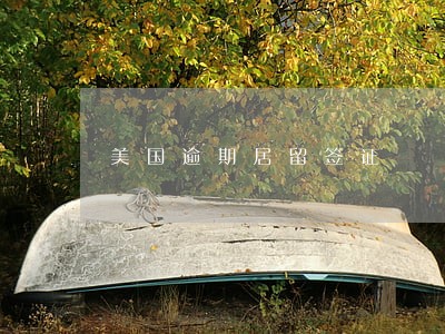 美国逾期居留签证 美国逾期居留签证