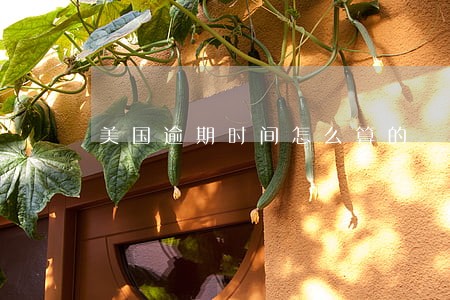 美国逾期时间怎么算的 美国逾期时间怎么算的