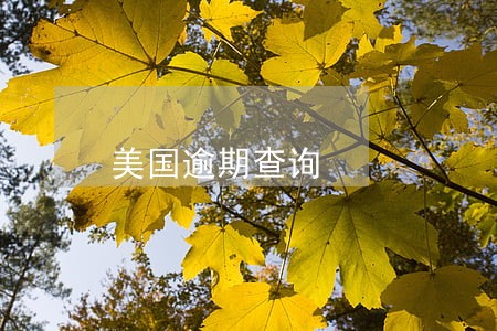 美国逾期查询
