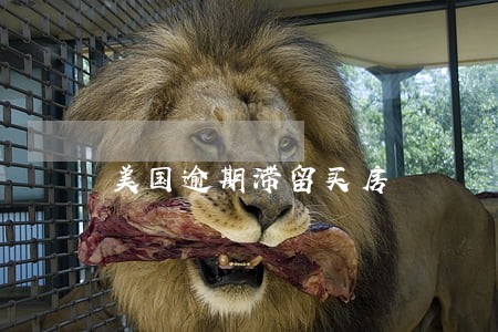 美国逾期滞留买房 美国逾期滞留买房